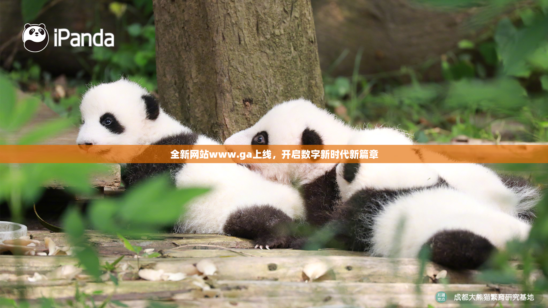 全新网站www.ga上线，开启数字新时代新篇章