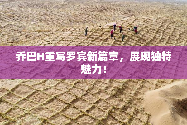 乔巴H重写罗宾新篇章，展现独特魅力！