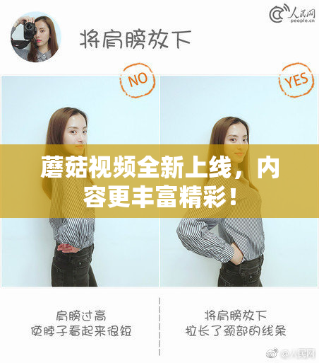 蘑菇视频全新上线，内容更丰富精彩！