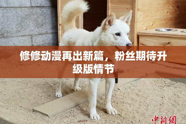 修修动漫再出新篇，粉丝期待升级版情节