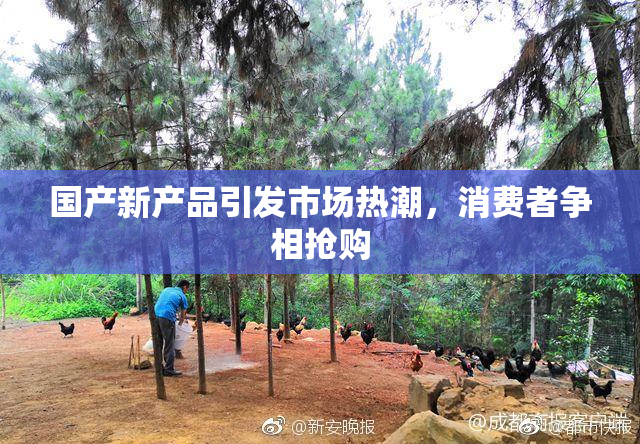 国产新产品引发市场热潮，消费者争相抢购