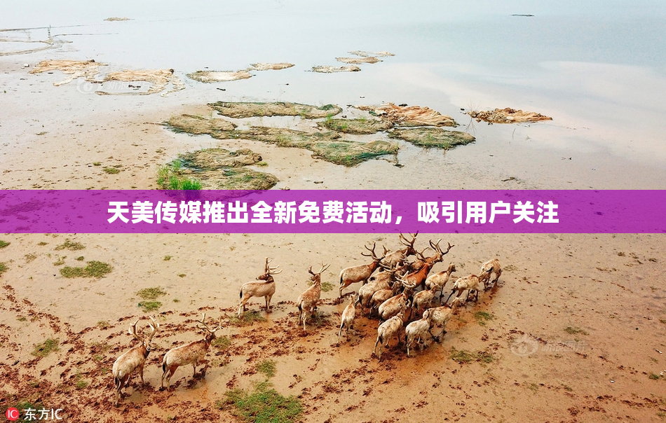 天美传媒推出全新免费活动，吸引用户关注