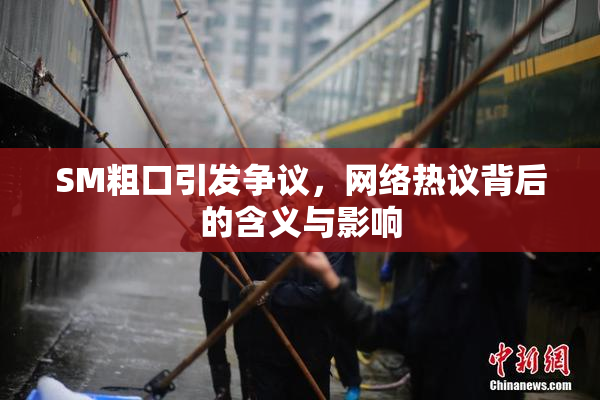 SM粗口引发争议，网络热议背后的含义与影响
