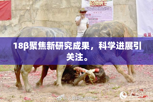 18β聚焦新研究成果，科学进展引关注。