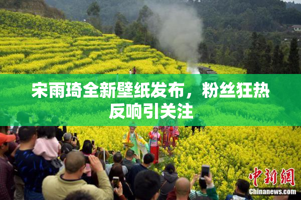 宋雨琦全新壁纸发布，粉丝狂热反响引关注