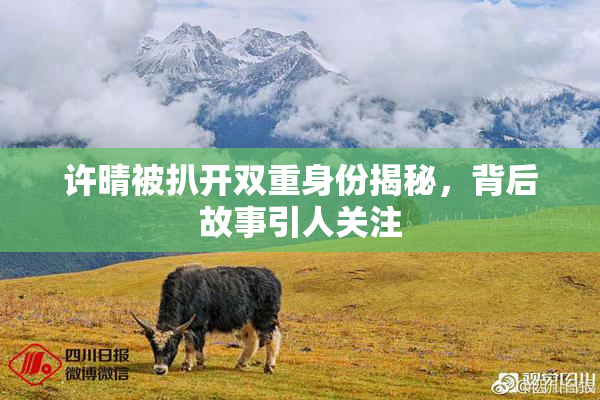 许晴被扒开双重身份揭秘，背后故事引人关注