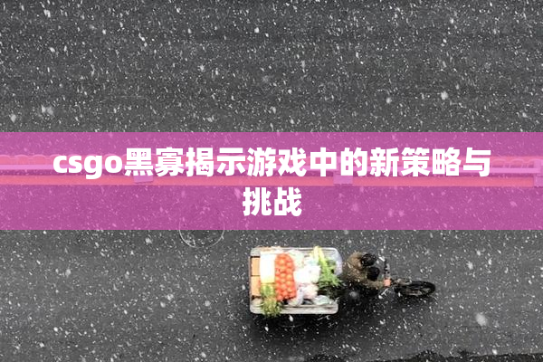 csgo黑寡揭示游戏中的新策略与挑战