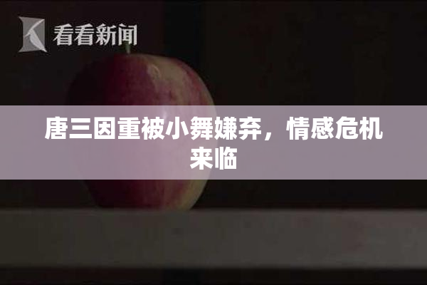 唐三因重被小舞嫌弃，情感危机来临