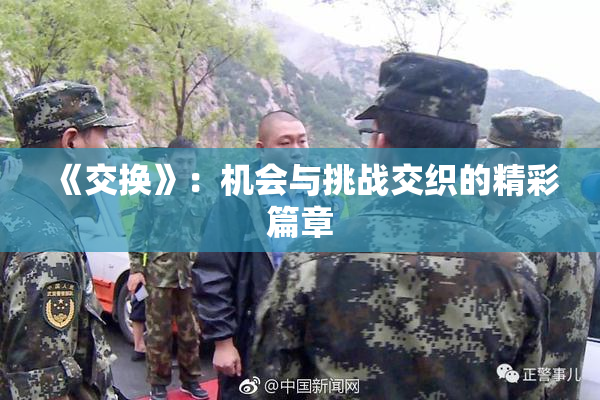 《交换》：机会与挑战交织的精彩篇章