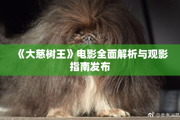 《大慈树王》电影全面解析与观影指南发布