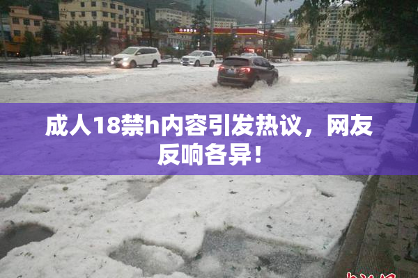 成人18禁h内容引发热议，网友反响各异！