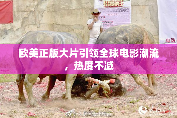 欧美正版大片引领全球电影潮流，热度不减
