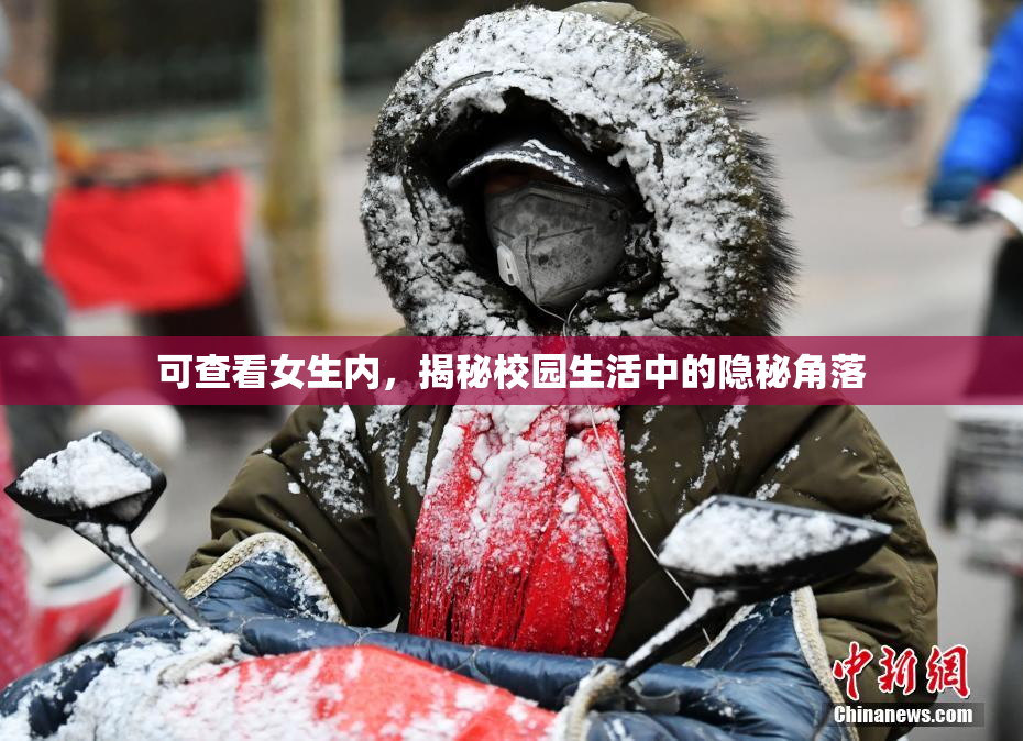 可查看女生内，揭秘校园生活中的隐秘角落