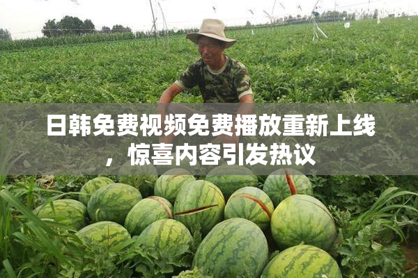 日韩免费视频免费播放重新上线，惊喜内容引发热议