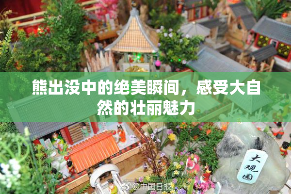 熊出没中的绝美瞬间，感受大自然的壮丽魅力