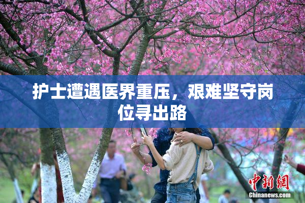 护士遭遇医界重压，艰难坚守岗位寻出路