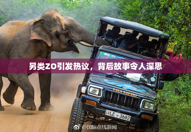 另类ZO引发热议，背后故事令人深思