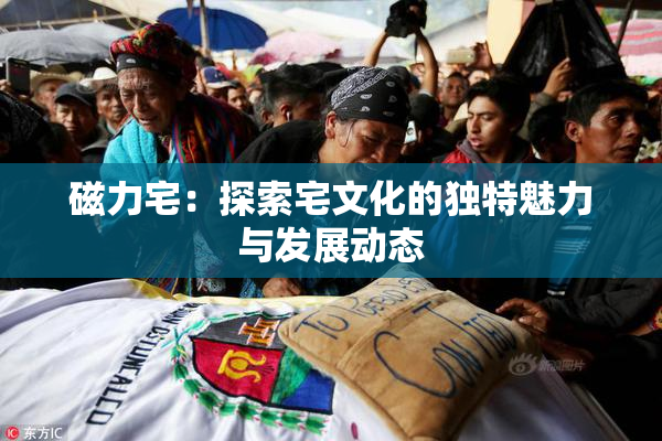 磁力宅：探索宅文化的独特魅力与发展动态