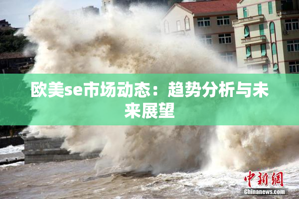 欧美se市场动态：趋势分析与未来展望