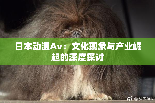 日本动漫Av：文化现象与产业崛起的深度探讨