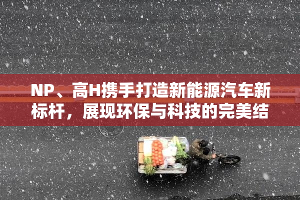 NP、高H携手打造新能源汽车新标杆，展现环保与科技的完美结合。