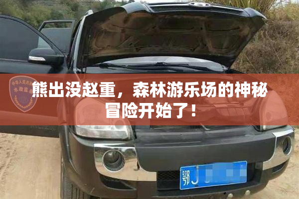 熊出没赵重，森林游乐场的神秘冒险开始了！