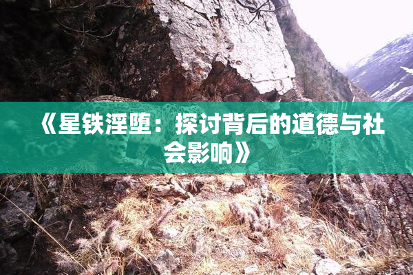 《星铁淫堕：探讨背后的道德与社会影响》