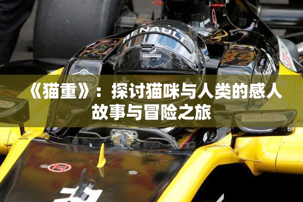 《猫重》：探讨猫咪与人类的感人故事与冒险之旅