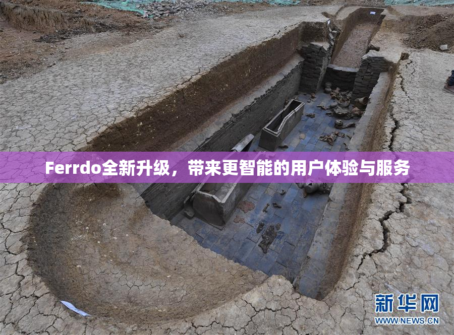 Ferrdo全新升级，带来更智能的用户体验与服务