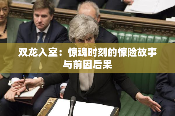 双龙入室：惊魂时刻的惊险故事与前因后果