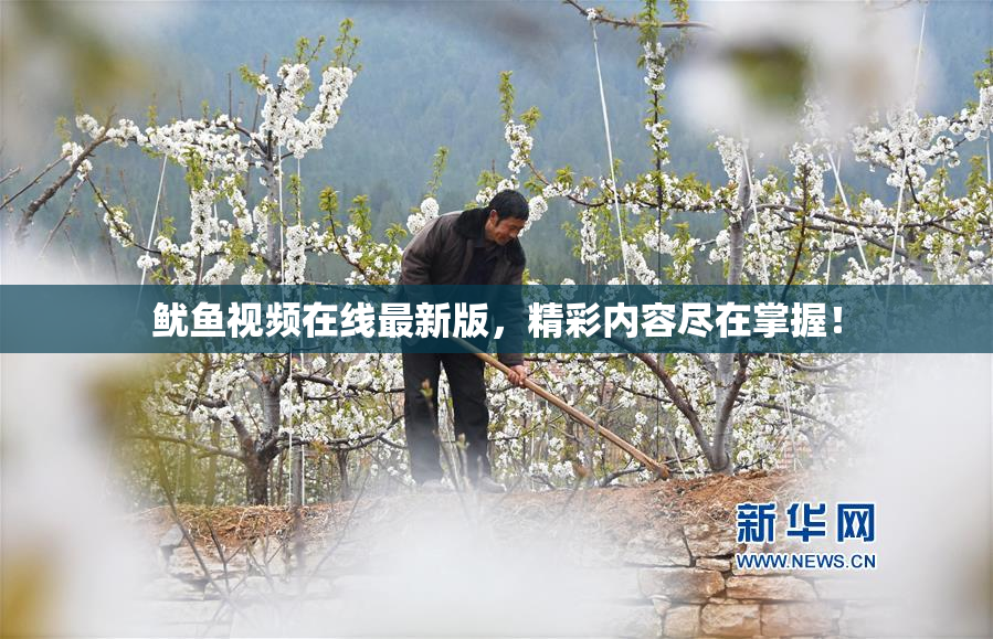 鱿鱼视频在线最新版，精彩内容尽在掌握！