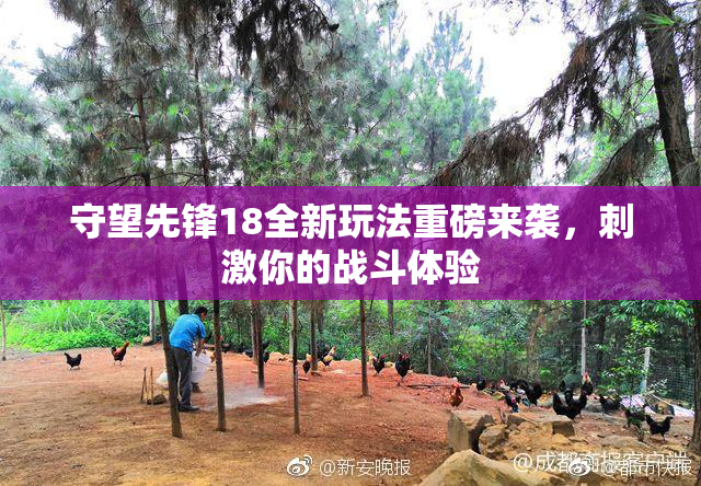 守望先锋18全新玩法重磅来袭，刺激你的战斗体验