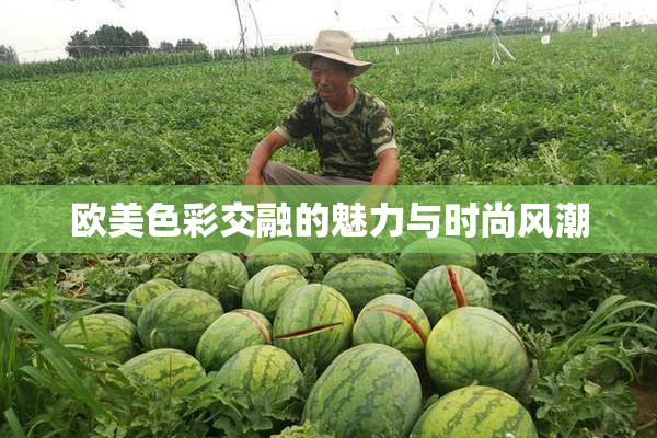 欧美色彩交融的魅力与时尚风潮