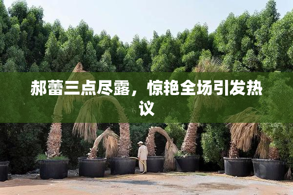 郝蕾三点尽露，惊艳全场引发热议