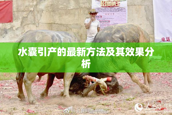 水囊引产的最新方法及其效果分析