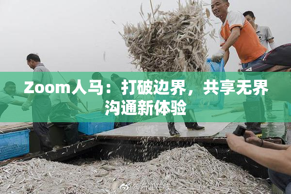 Zoom人马：打破边界，共享无界沟通新体验