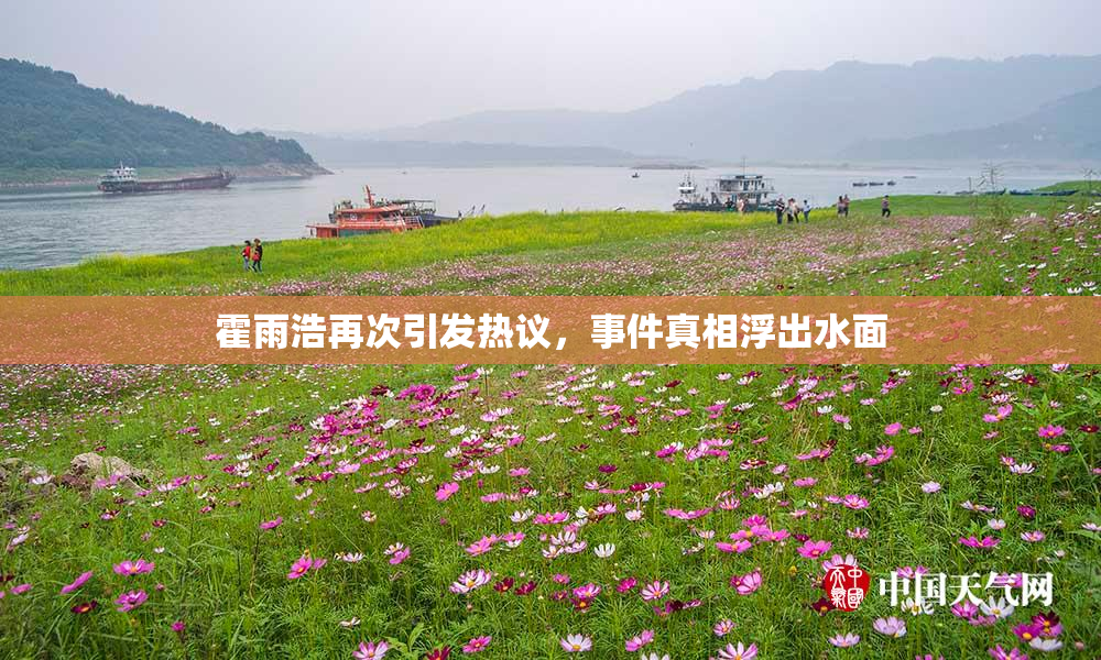 霍雨浩再次引发热议，事件真相浮出水面