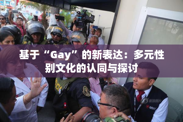 基于“Gay”的新表达：多元性别文化的认同与探讨