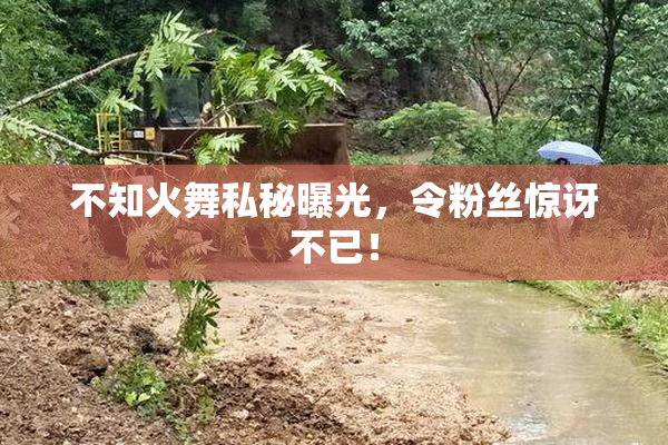 不知火舞私秘曝光，令粉丝惊讶不已！