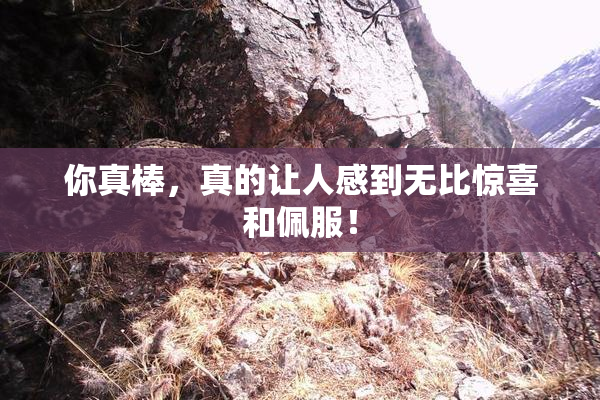 你真棒，真的让人感到无比惊喜和佩服！