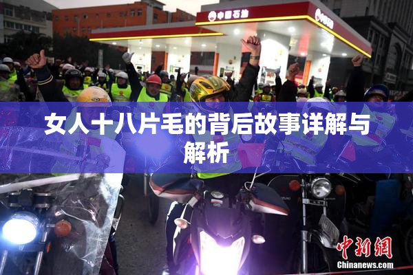 女人十八片毛的背后故事详解与解析
