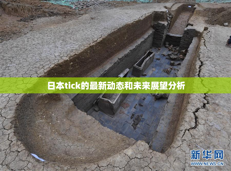 日本tick的最新动态和未来展望分析