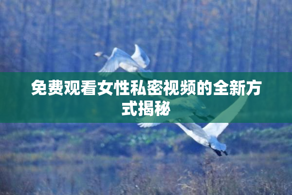 免费观看女性私密视频的全新方式揭秘