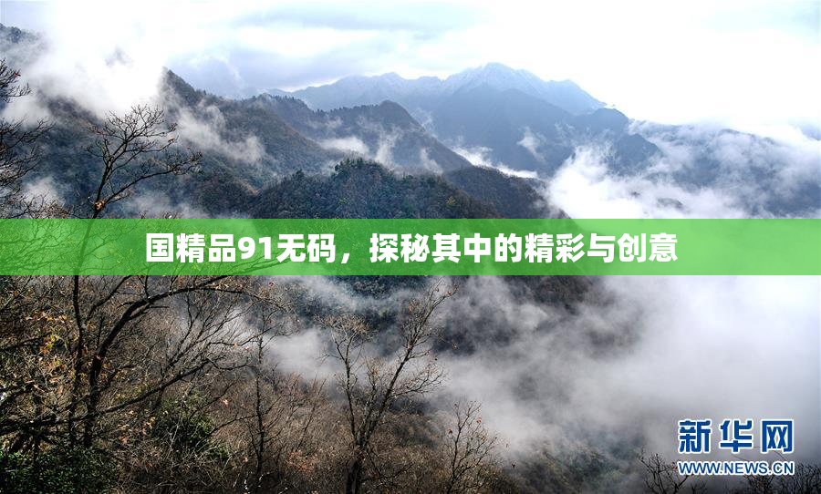 国精品91无码，探秘其中的精彩与创意