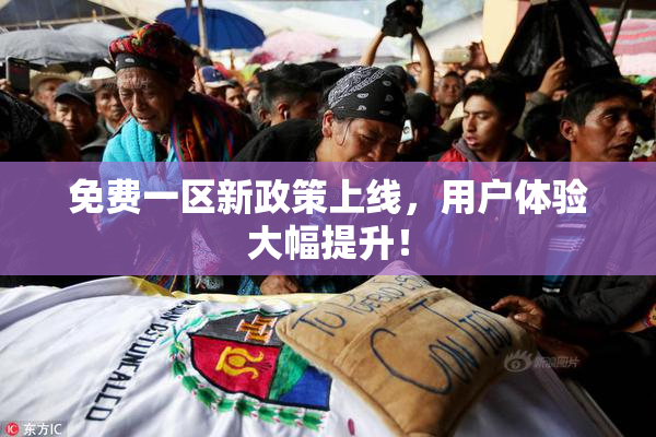 免费一区新政策上线，用户体验大幅提升！