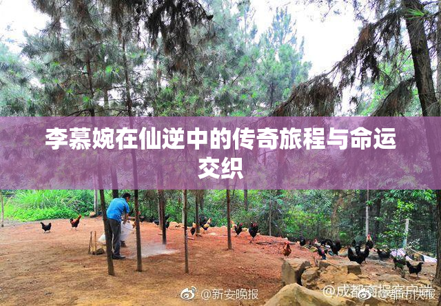 李慕婉在仙逆中的传奇旅程与命运交织