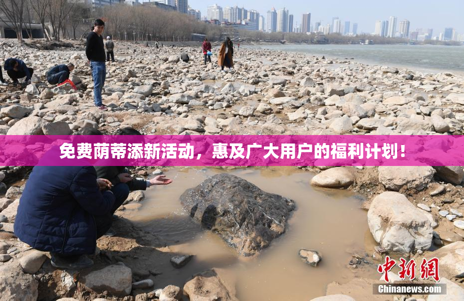 免费荫蒂添新活动，惠及广大用户的福利计划！