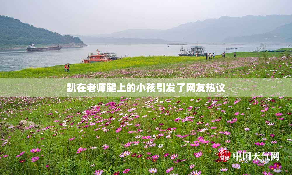 趴在老师腿上的小孩引发了网友热议