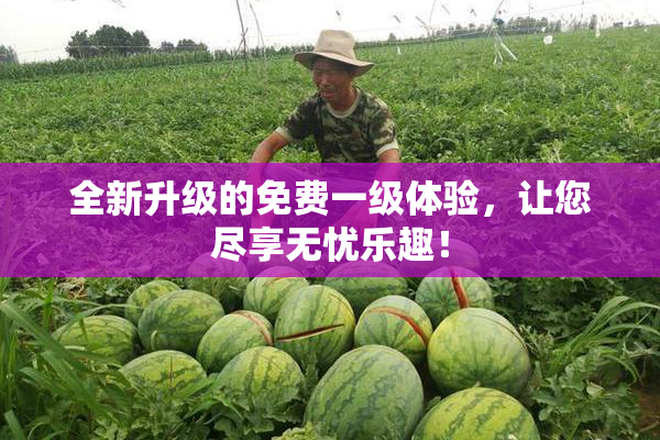 全新升级的免费一级体验，让您尽享无忧乐趣！