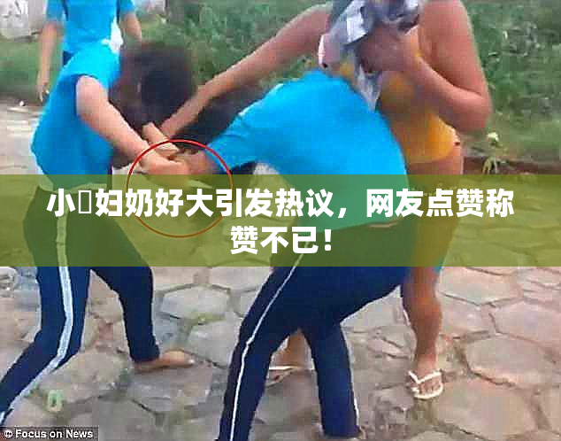 小婬妇奶好大引发热议，网友点赞称赞不已！